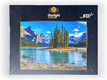 91Q19frl+1L._AC_UF350,